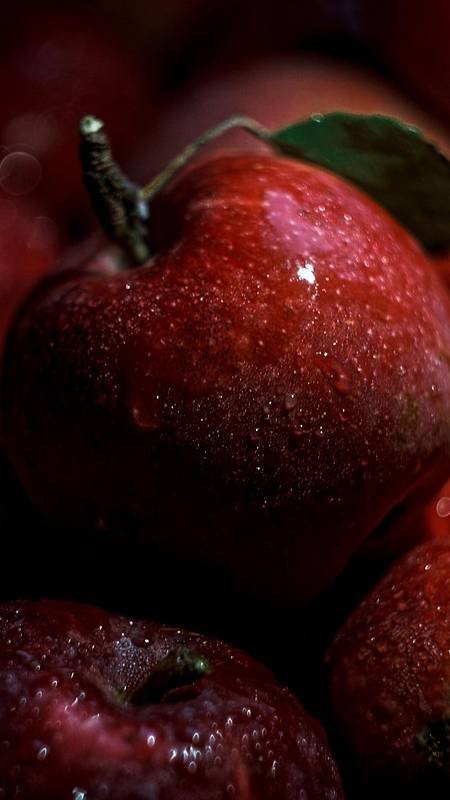 Manzanitasss File 2