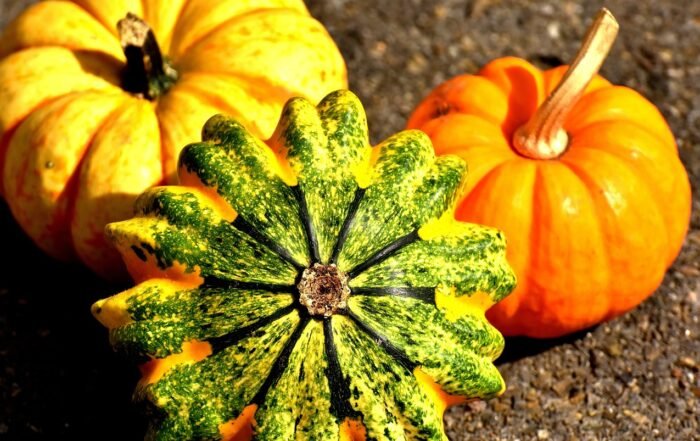 Pumpkins 2204643 1280