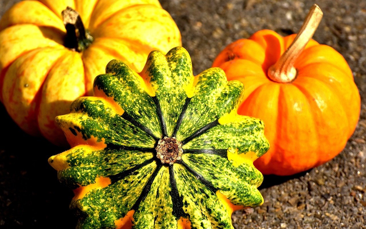 Pumpkins 2204643 1280